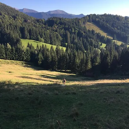 Evviva 4* Oberstaufen