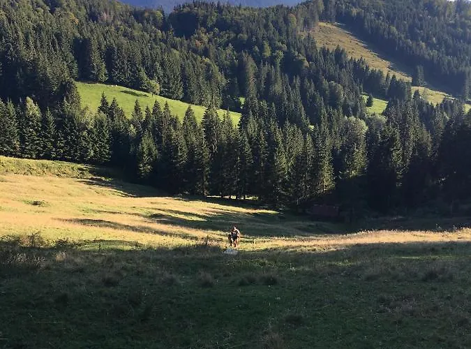 Evviva 4* Oberstaufen