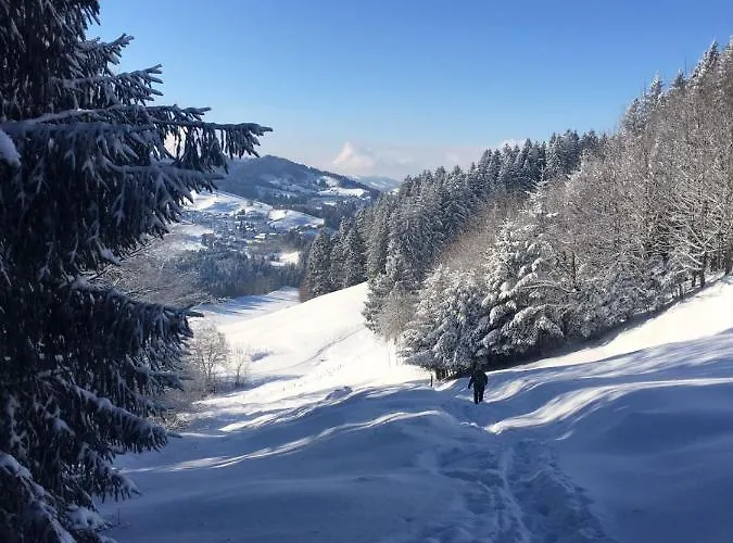 Bed & Breakfast Evviva 4*