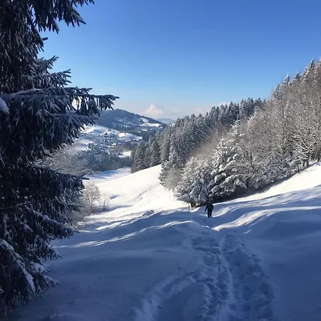 Panzió Evviva 3*